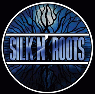logo Silk N' Roots